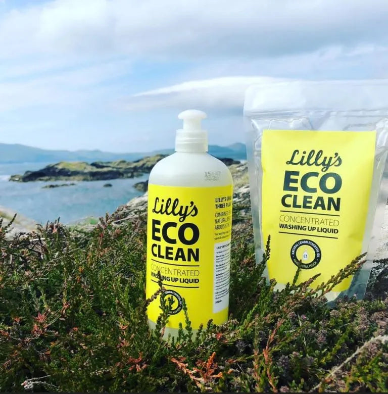 Lilly’s Eco Clean